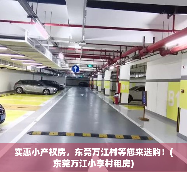 实惠小产权房，东莞万江村等您来选购！(东莞万江小享村租房)