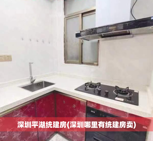 深圳平湖统建房(深圳哪里有统建房卖) 深圳平湖统建房(深圳哪里有统建房卖)