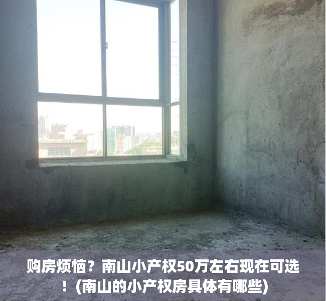 购房烦恼？南山小产权50万左右现在可选！(南山的小产权房具体有哪些)