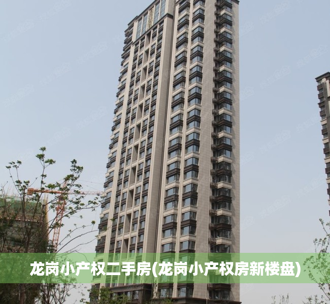 龙岗小产权二手房(龙岗小产权房新楼盘) 龙岗小产权二手房(龙岗小产权房新楼盘)