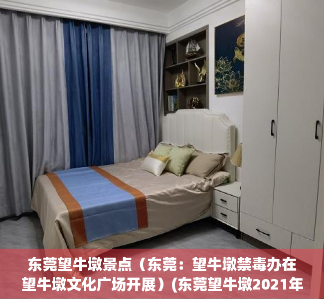东莞望牛墩景点（东莞：望牛墩禁毒办在望牛墩文化广场开展）(东莞望牛墩2021年)