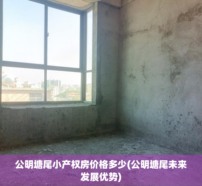 公明塘尾小产权房价格多少(公明塘尾未来发展优势)