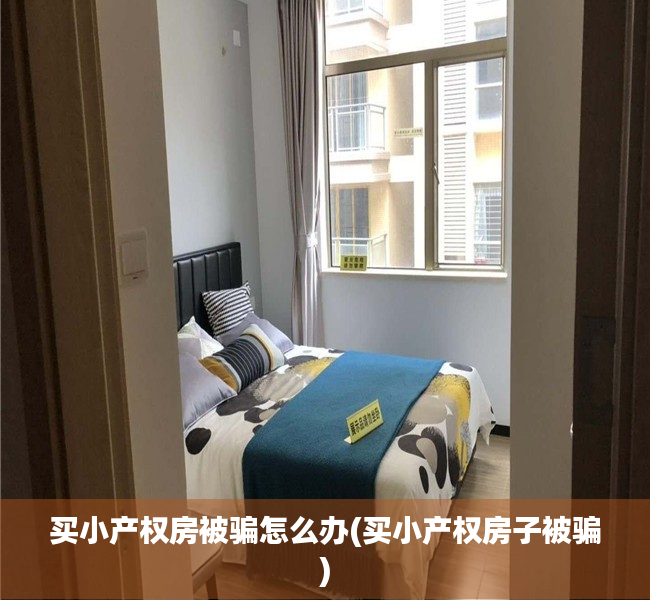 买小产权房被骗怎么办(买小产权房子被骗)