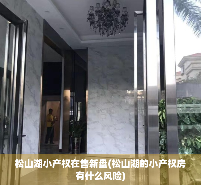 松山湖小产权在售新盘(松山湖的小产权房有什么风险) 松山湖小产权在售新盘(松山湖的小产权房有什么风险)