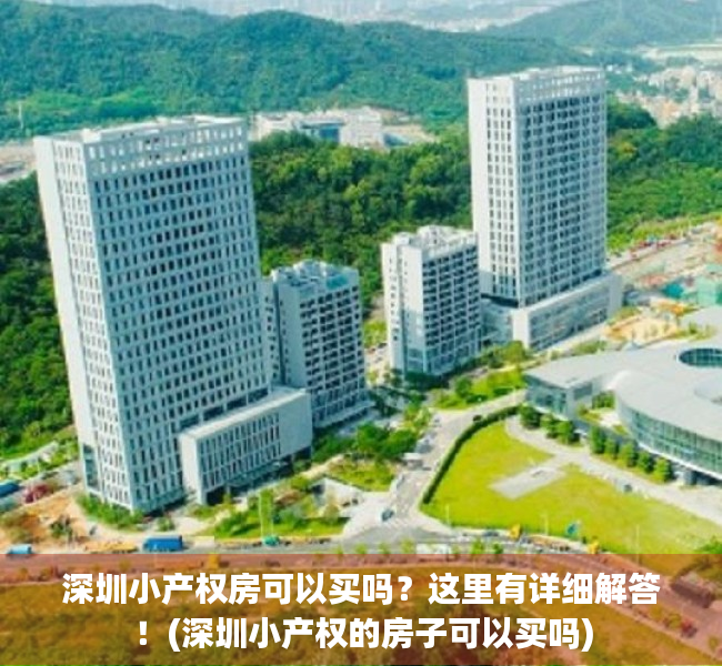深圳小产权房可以买吗？这里有详细解答！(深圳小产权的房子可以买吗)
