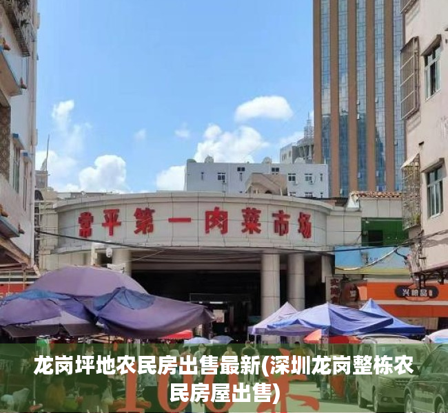 龙岗坪地农民房出售最新(深圳龙岗整栋农民房屋出售)