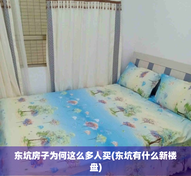 东坑房子为何这么多人买(东坑有什么新楼盘) 东坑房子为何这么多人买(东坑有什么新楼盘)