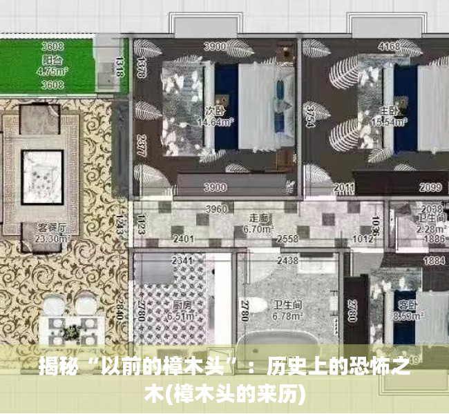 揭秘“以前的樟木头”：历史上的恐怖之木(樟木头的来历)