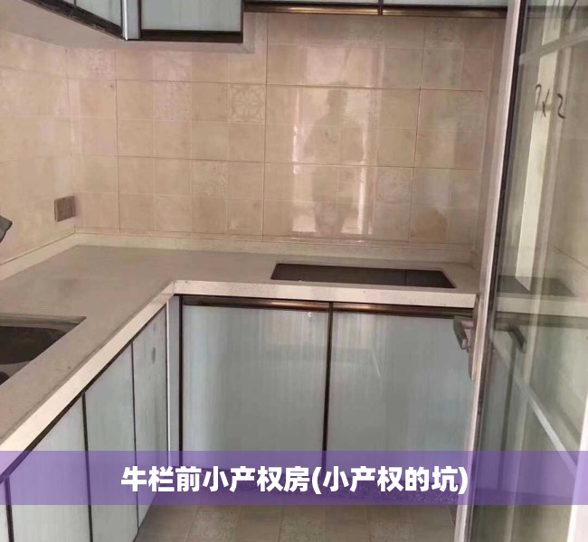 牛栏前小产权房(小产权的坑) 牛栏前小产权房(小产权的坑)