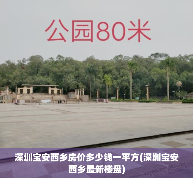 深圳宝安西乡房价多少钱一平方(深圳宝安西乡最新楼盘)