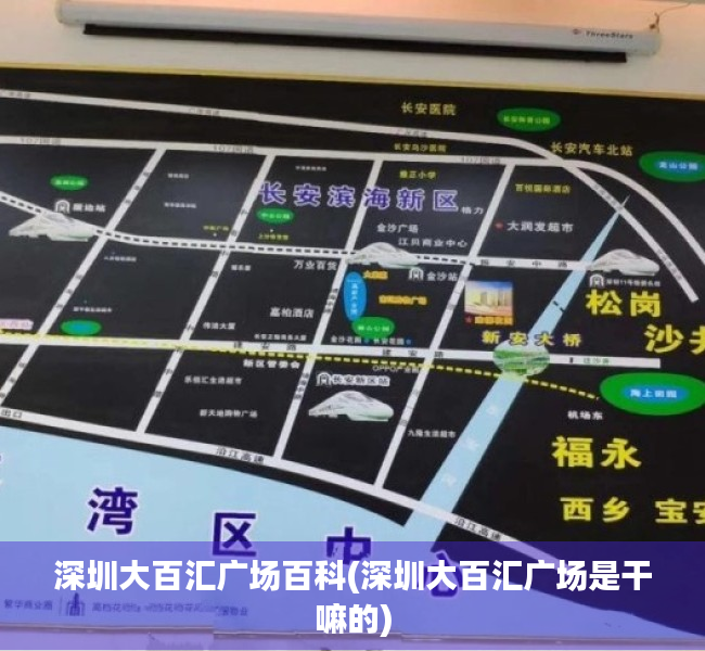 深圳大百汇广场百科(深圳大百汇广场是干嘛的) 深圳大百汇广场百科(深圳大百汇广场是干嘛的)