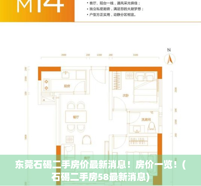 东莞石碣二手房价最新消息！房价一览！(石碣二手房58最新消息)