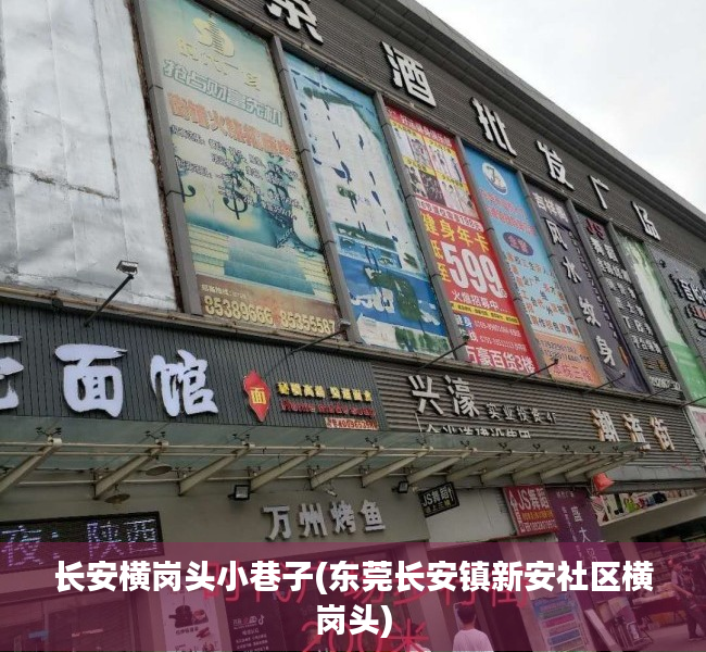 长安横岗头小巷子(东莞长安镇新安社区横岗头) 长安横岗头小巷子(东莞长安镇新安社区横岗头)