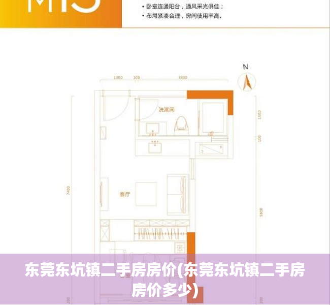 东莞东坑镇二手房房价(东莞东坑镇二手房房价多少) 东莞东坑镇二手房房价(东莞东坑镇二手房房价多少)
