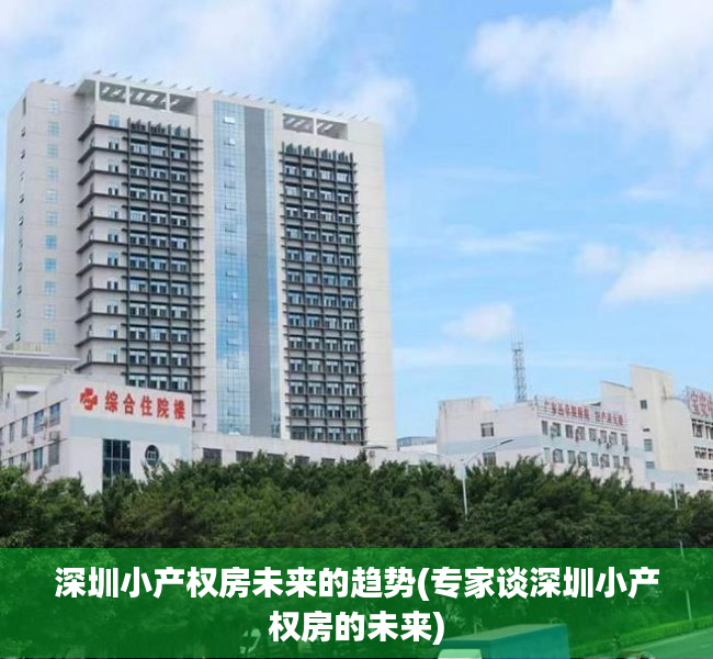 深圳小产权房未来的趋势(专家谈深圳小产权房的未来) 深圳小产权房未来的趋势(专家谈深圳小产权房的未来)