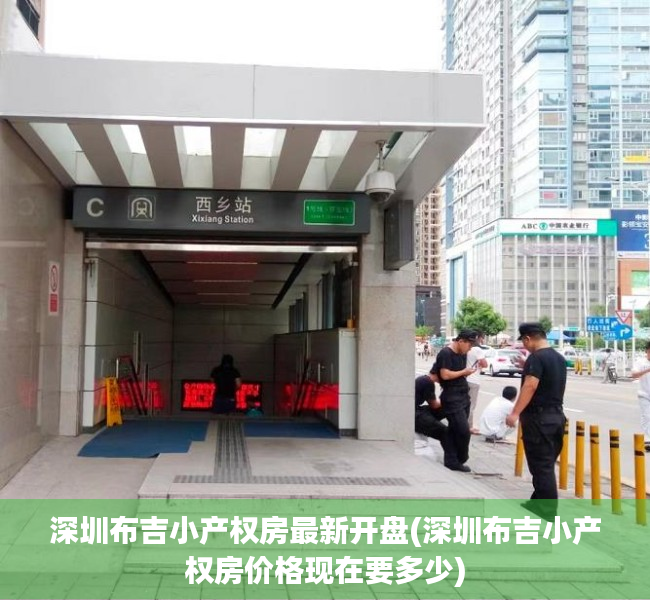 深圳布吉小产权房最新开盘(深圳布吉小产权房价格现在要多少)