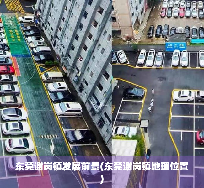 东莞谢岗镇发展前景(东莞谢岗镇地理位置) 东莞谢岗镇发展前景(东莞谢岗镇地理位置)