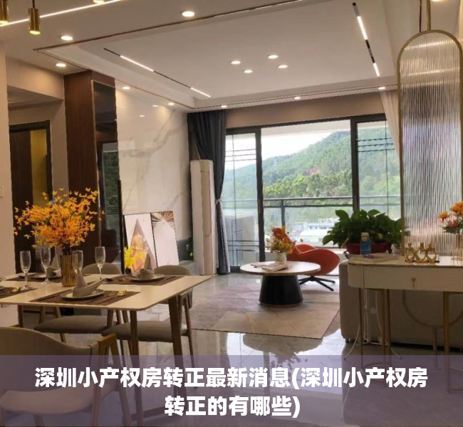深圳小产权房转正最新消息(深圳小产权房转正的有哪些) 深圳小产权房转正最新消息(深圳小产权房转正的有哪些)