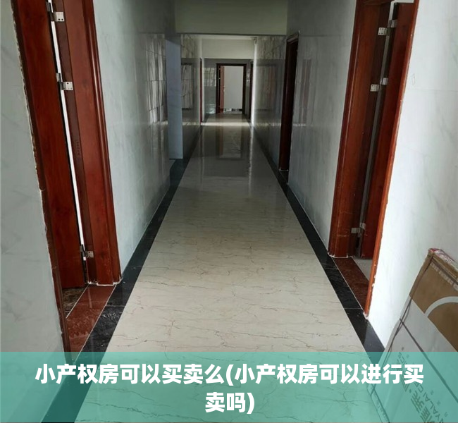 小产权房可以买卖么(小产权房可以进行买卖吗) 小产权房可以买卖么(小产权房可以进行买卖吗)