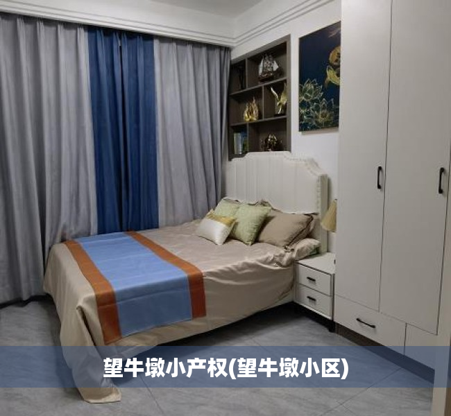 望牛墩小产权(望牛墩小区) 望牛墩小产权(望牛墩小区)