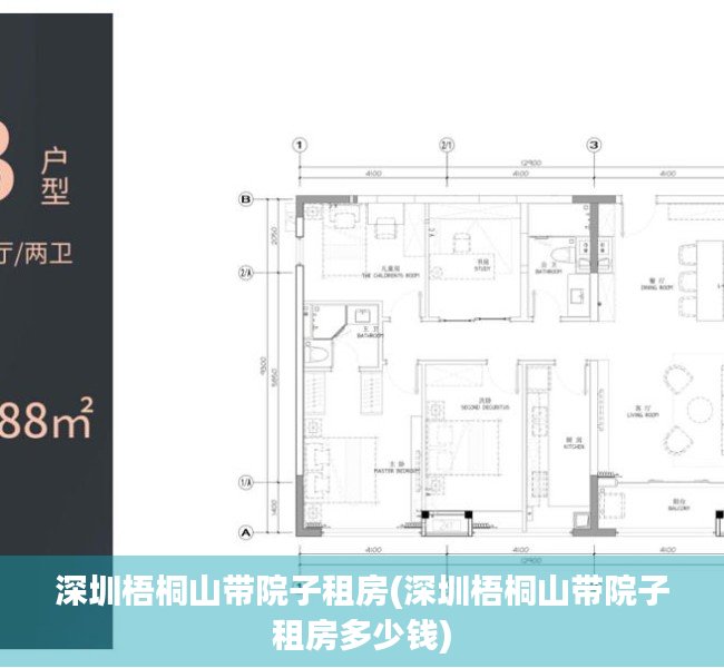 深圳梧桐山带院子租房(深圳梧桐山带院子租房多少钱)