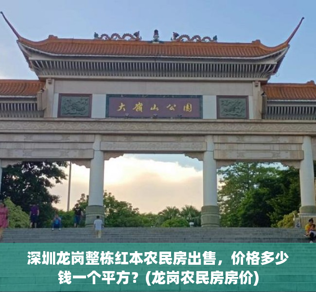 深圳龙岗整栋红本农民房出售，价格多少钱一个平方？(龙岗农民房房价)