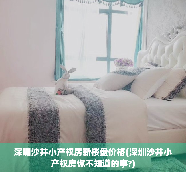 深圳沙井小产权房新楼盘价格(深圳沙井小产权房你不知道的事?)