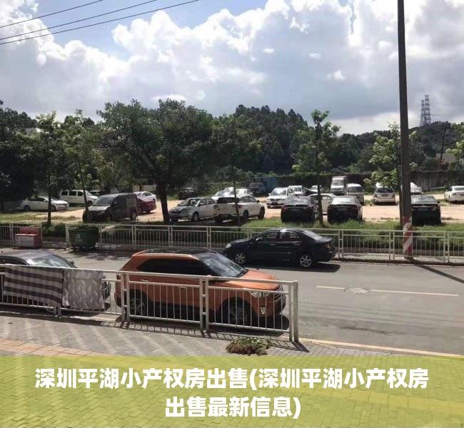 深圳平湖小产权房出售(深圳平湖小产权房出售最新信息) 深圳平湖小产权房出售(深圳平湖小产权房出售最新信息)