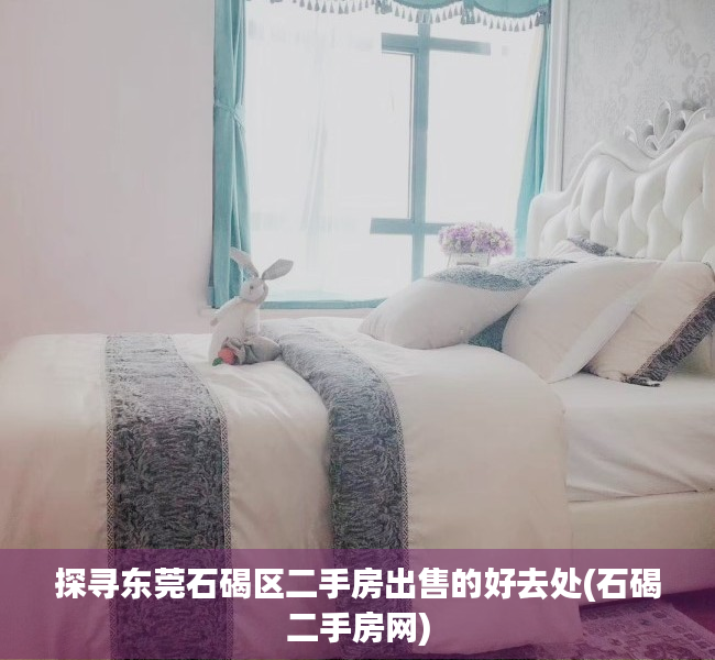 探寻东莞石碣区二手房出售的好去处(石碣二手房网)