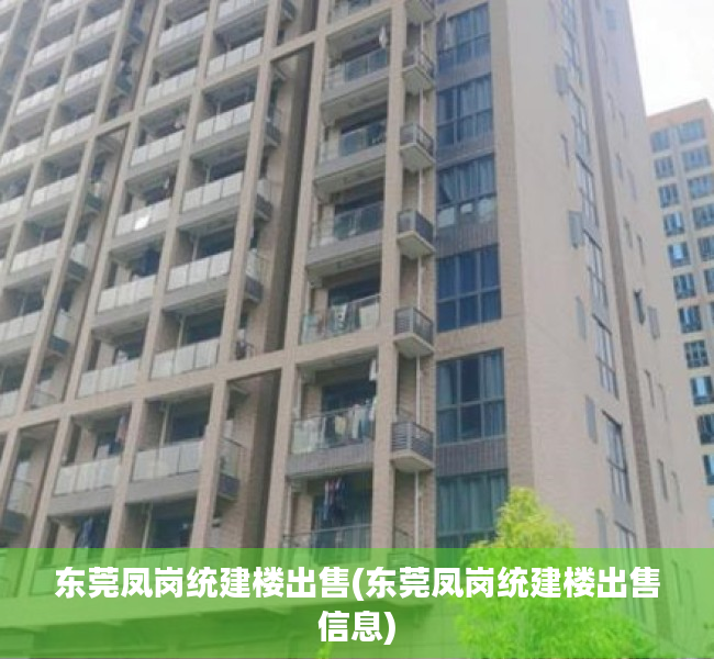 东莞凤岗统建楼出售(东莞凤岗统建楼出售信息) 东莞凤岗统建楼出售(东莞凤岗统建楼出售信息)