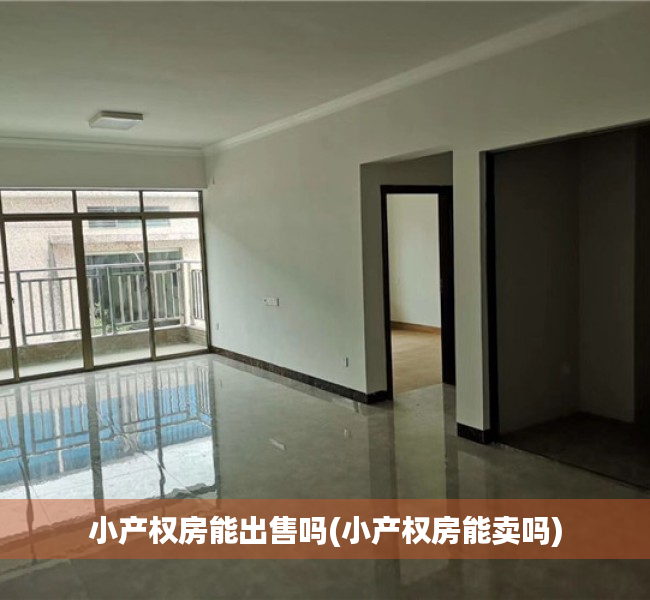 小产权房能出售吗(小产权房能卖吗) 小产权房能出售吗(小产权房能卖吗)