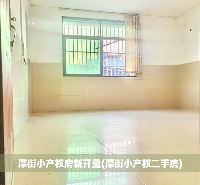 厚街小产权房新开盘(厚街小产权二手房)