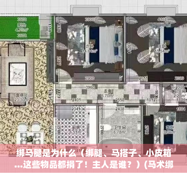 绑马腿是为什么（绑腿、马搭子、小皮箱…这些物品都捐了！主人是谁？）(马术绑腿的作用)
