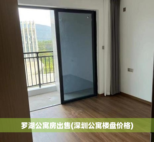 罗湖公寓房出售(深圳公寓楼盘价格) 罗湖公寓房出售(深圳公寓楼盘价格)