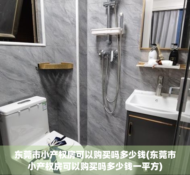 东莞市小产权房可以购买吗多少钱(东莞市小产权房可以购买吗多少钱一平方)