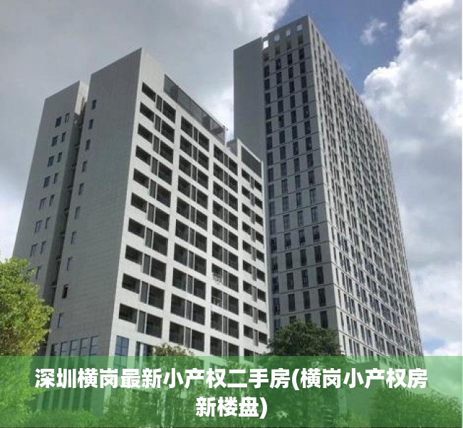 深圳横岗最新小产权二手房(横岗小产权房新楼盘)