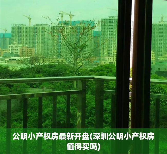 公明小产权房最新开盘(深圳公明小产权房值得买吗) 公明小产权房最新开盘(深圳公明小产权房值得买吗)