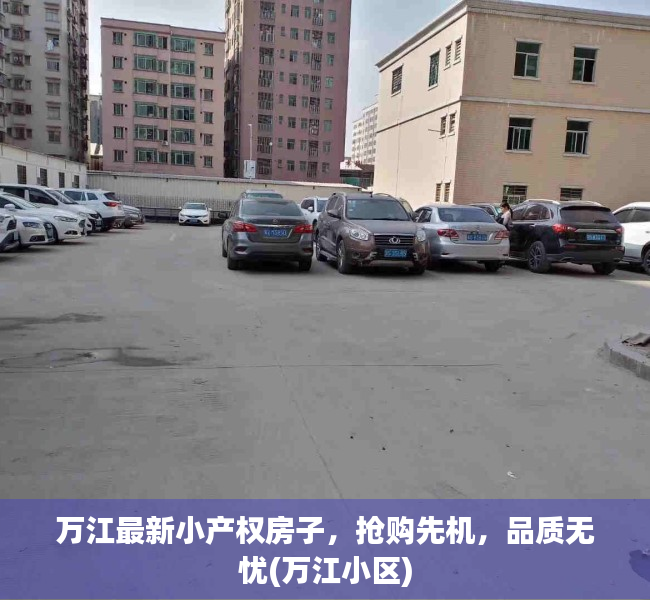 万江最新小产权房子，抢购先机，品质无忧(万江小区)