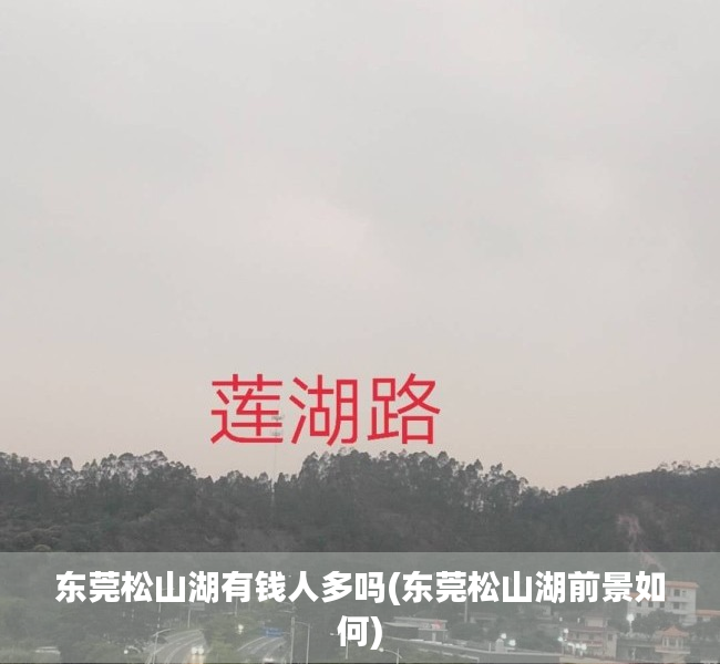 东莞松山湖有钱人多吗(东莞松山湖前景如何)