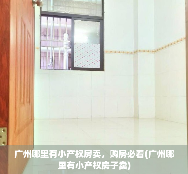 广州哪里有小产权房卖，购房必看(广州哪里有小产权房子卖)