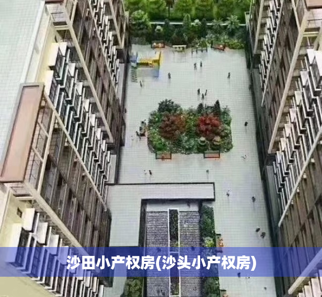沙田小产权房(沙头小产权房) 沙田小产权房(沙头小产权房)