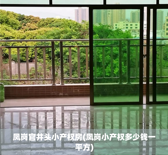 凤岗官井头小产权房(凤岗小产权多少钱一平方) 凤岗官井头小产权房(凤岗小产权多少钱一平方)