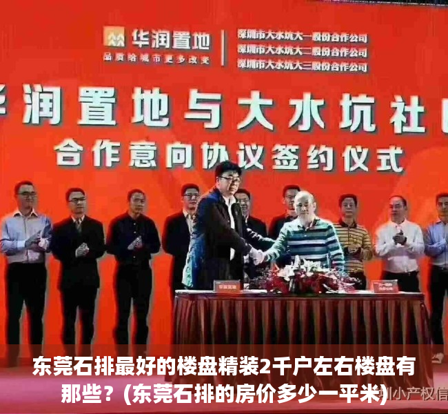 东莞石排最好的楼盘精装2千户左右楼盘有那些?(东莞石排的房价多少一平米) 东莞石排最好的楼盘精装2千户左右楼盘有那些?(东莞石排的房价多少一平米)