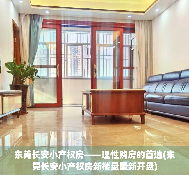 东莞长安小产权房——理性购房的首选(东莞长安小产权房新楼盘最新开盘)