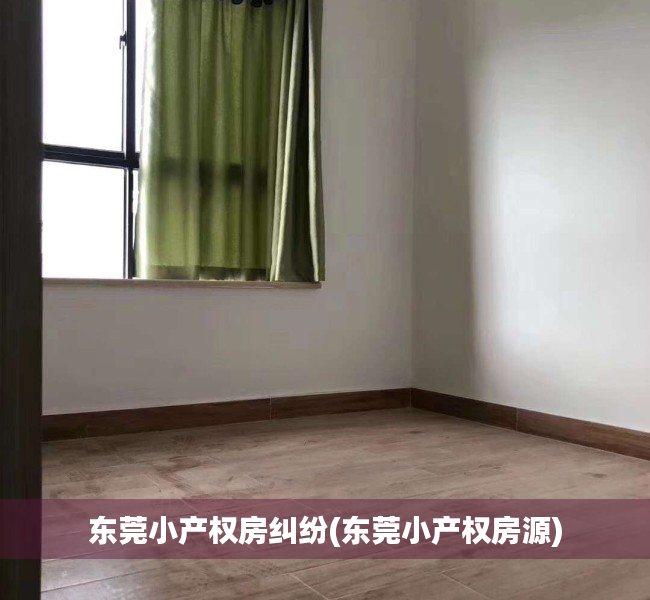 东莞小产权房纠纷(东莞小产权房源)