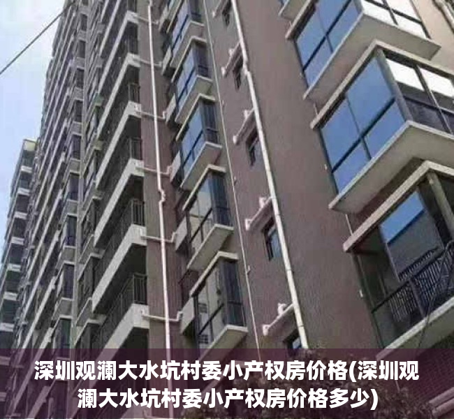 深圳观澜大水坑村委小产权房价格(深圳观澜大水坑村委小产权房价格多少)