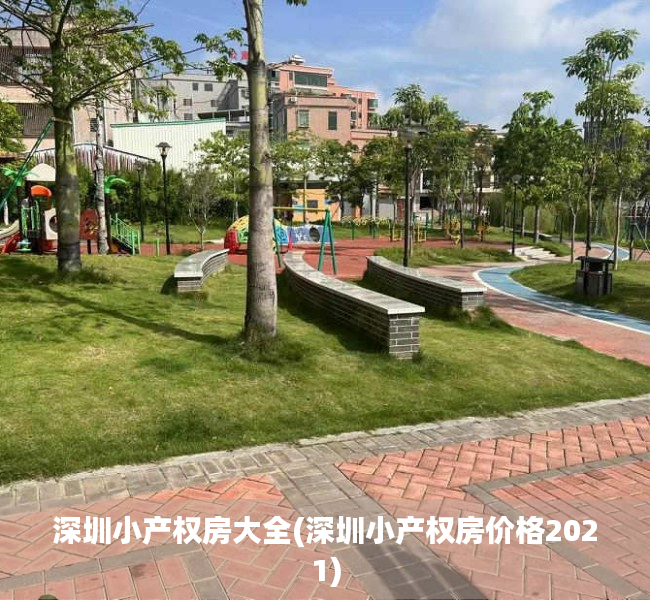 深圳小产权房大全(深圳小产权房价格2021)