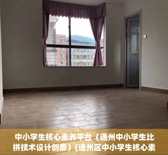 中小学生核心素养平台（通州中小学生比拼技术设计创意）(通州区中小学生核心素养手册)