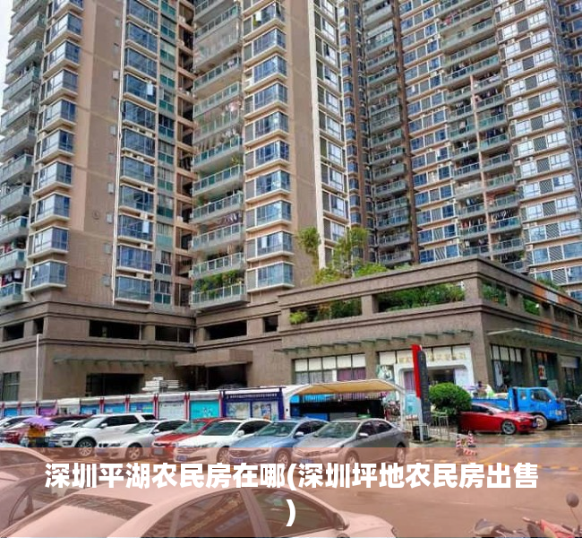 深圳平湖农民房在哪(深圳坪地农民房出售) 深圳平湖农民房在哪(深圳坪地农民房出售)