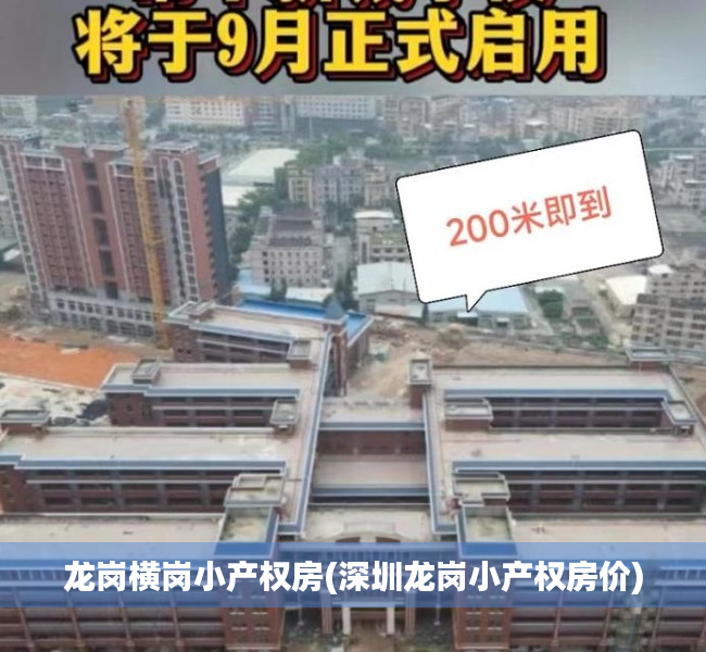 龙岗横岗小产权房(深圳龙岗小产权房价) 龙岗横岗小产权房(深圳龙岗小产权房价)